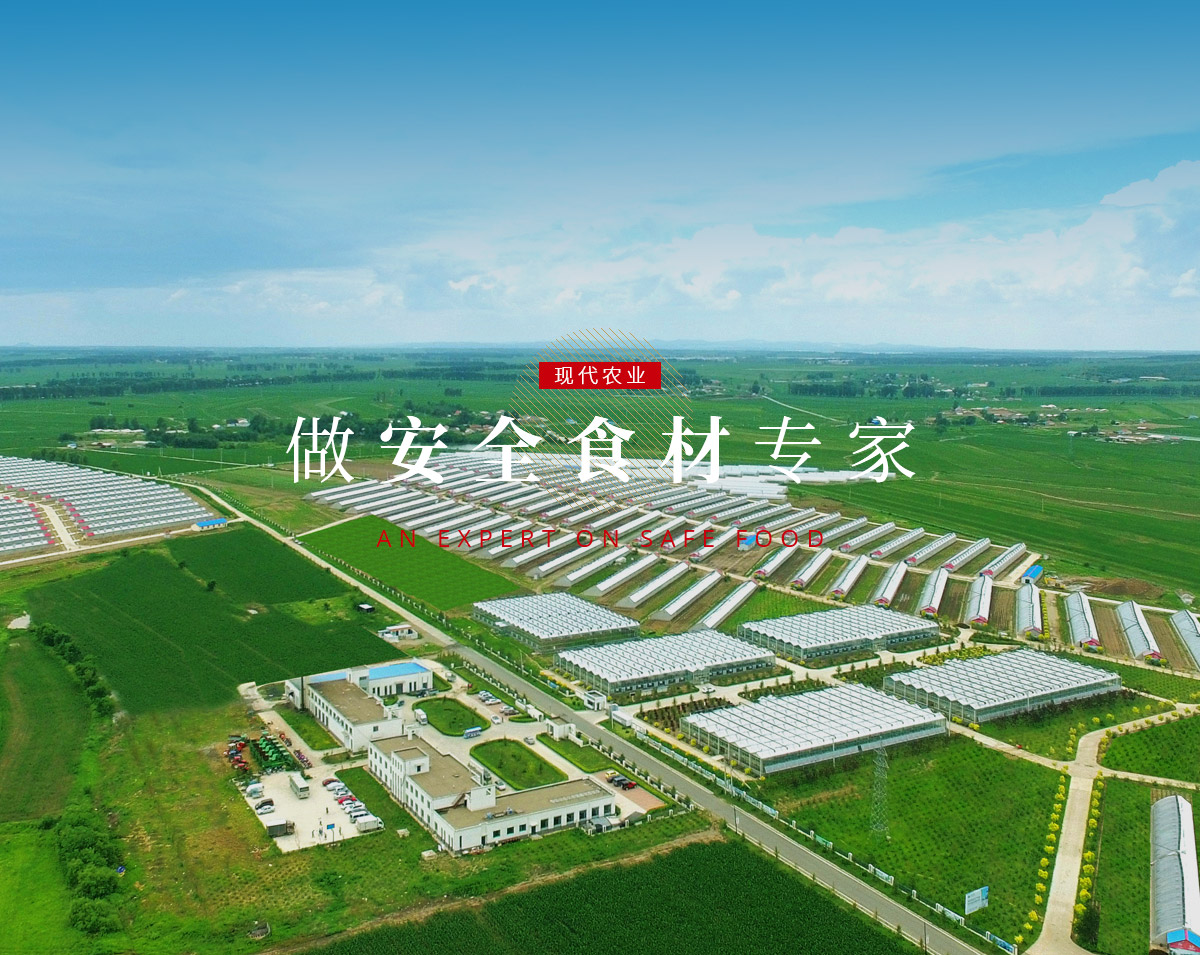 麻将胡了(中国游)官方网站