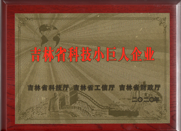 0麻将胡了物业获“吉林省科技小巨人企业”称呼_副本.jpg 0麻将胡了物业获“吉林省科技小巨人企业”称呼_副本.jpg
